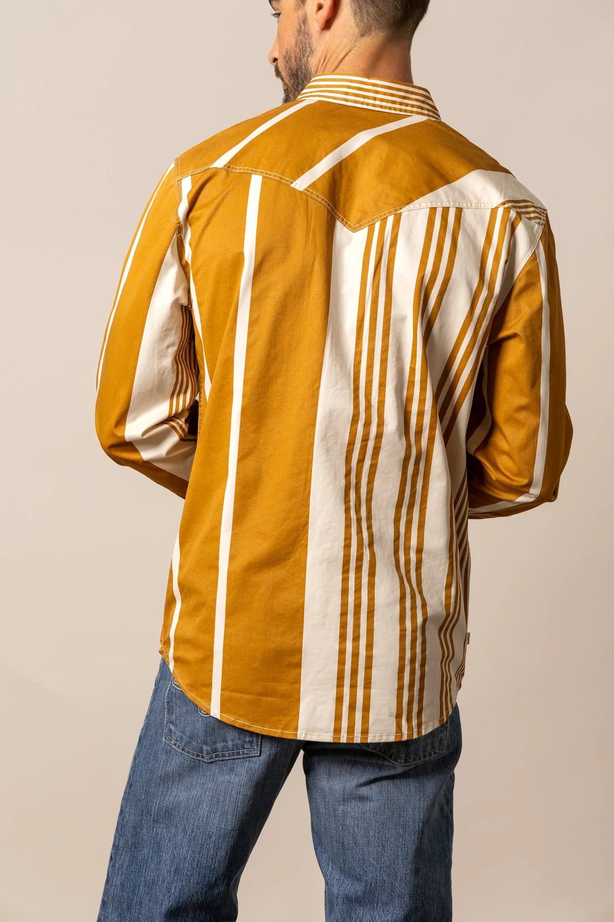 Kimes Ranch Bandit dress shirt in Work Wear Brown, back view, with white and brown vertical stripes and a yoke detail
