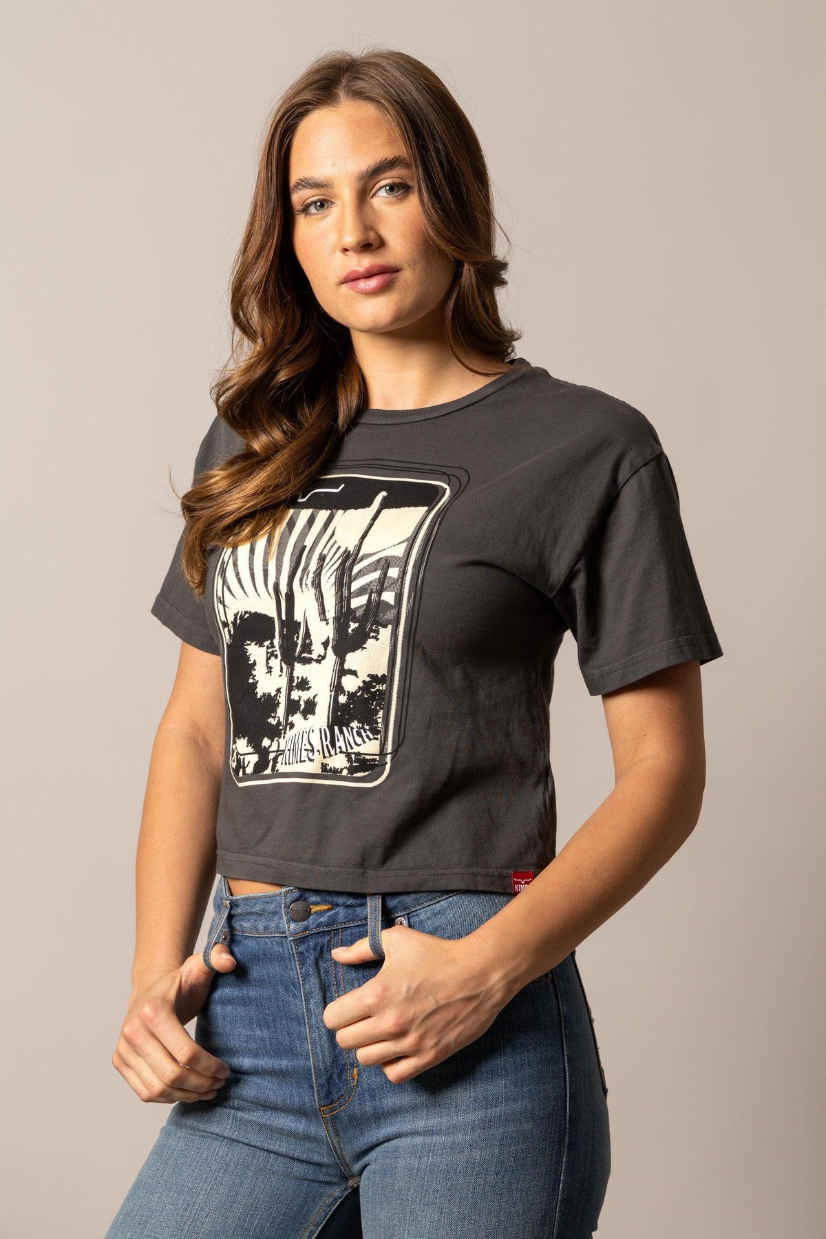 Kimes Ranch Desert Trip shirt in Pepper with a graphic print of a desert landscape and cacti