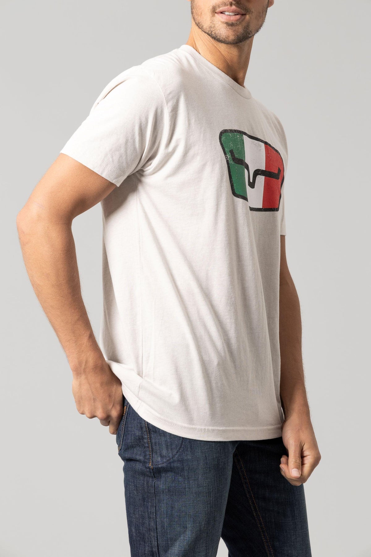 Kimes Ranch Tri-Color Tee in Sand, side view, with a graphic of the Italian flag and a stylized steer logo