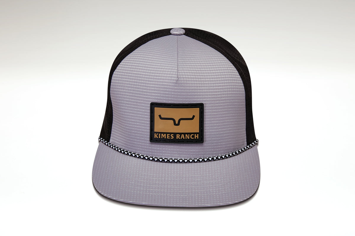 Tasso_Grey_2