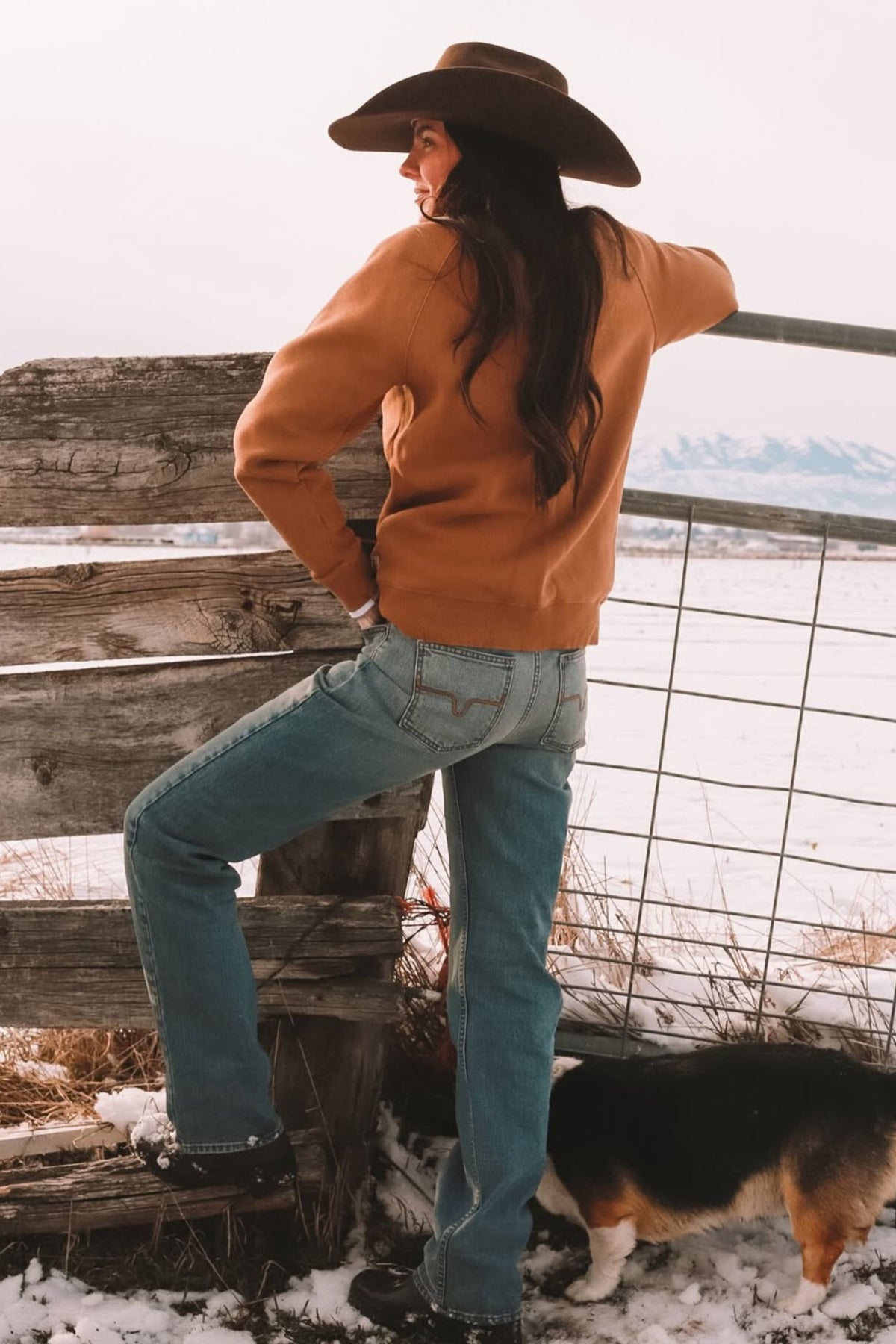 Kimes Ranch Mia, back view, jeans in blue with back pockets and stitching