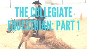 The Collegiate Equestrian: Part 1